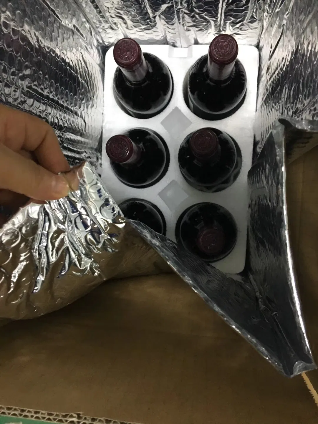 Bescherm medicijnen aangepaste geïsoleerde zak met spons EPE katoenen ijspak 3